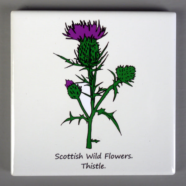 ***SALE*** Wild Flowers - Giclee Print in Rope Frame