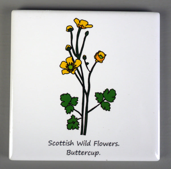 ***SALE*** Wild Flowers - Giclee Print in Rope Frame