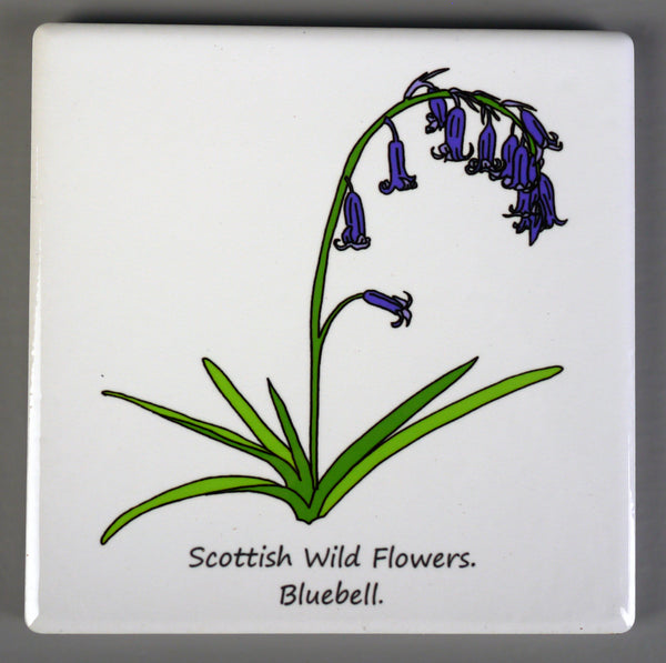 ***SALE*** Wild Flowers - Giclee Print in Rope Frame