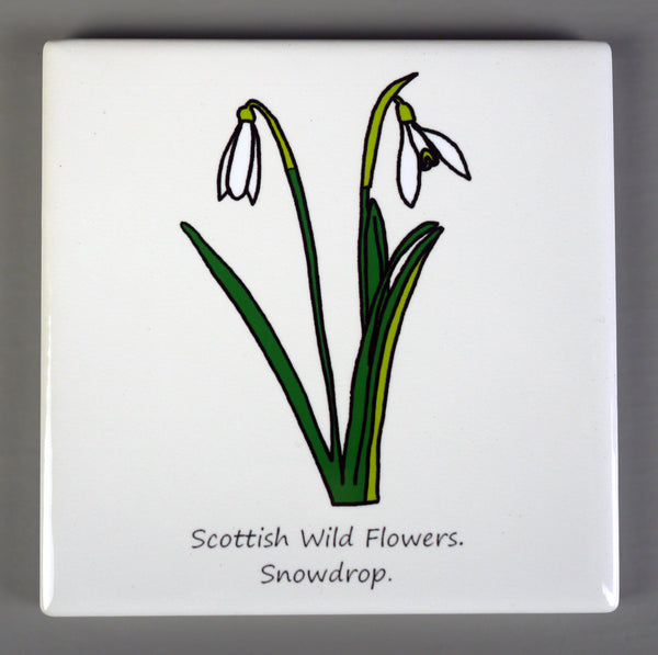 ***SALE*** Wild Flowers - Giclee Print in Rope Frame