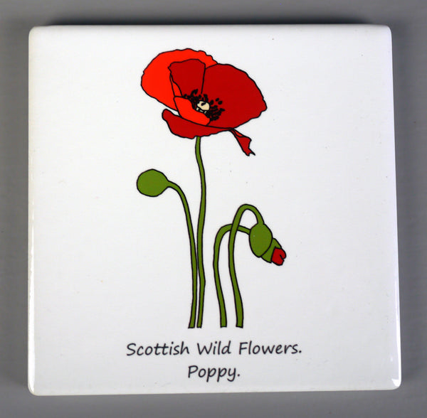 ***SALE*** Wild Flowers - Giclee Print in Rope Frame