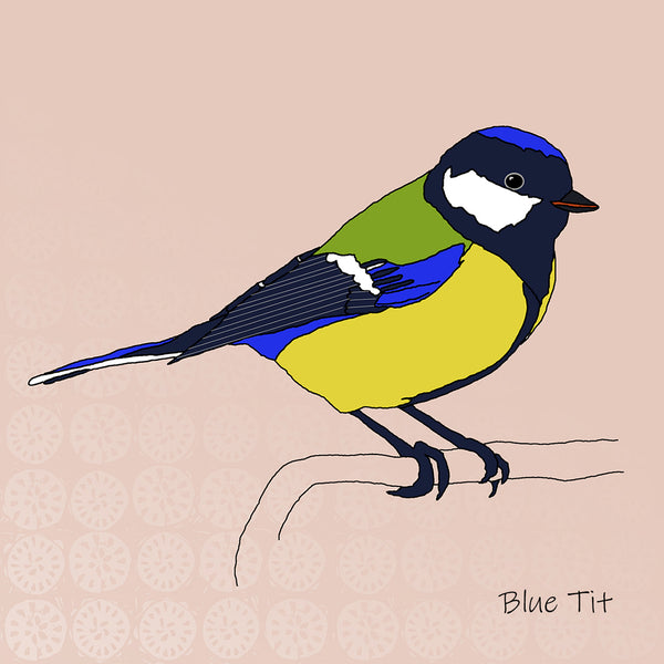 Set of 6 - Garden Birds Coasters