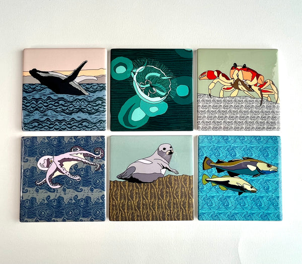 Set of 6 - Sea creatures Coasters