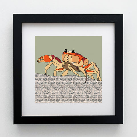 Crab - Giclee Print 10"x10"