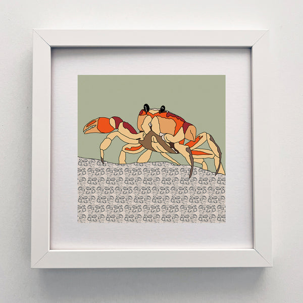 Crab - Giclee Print 10"x10"
