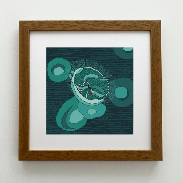 Jellyfish - Giclee Print 10"x10"