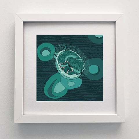Jellyfish - Giclee Print 10"x10"