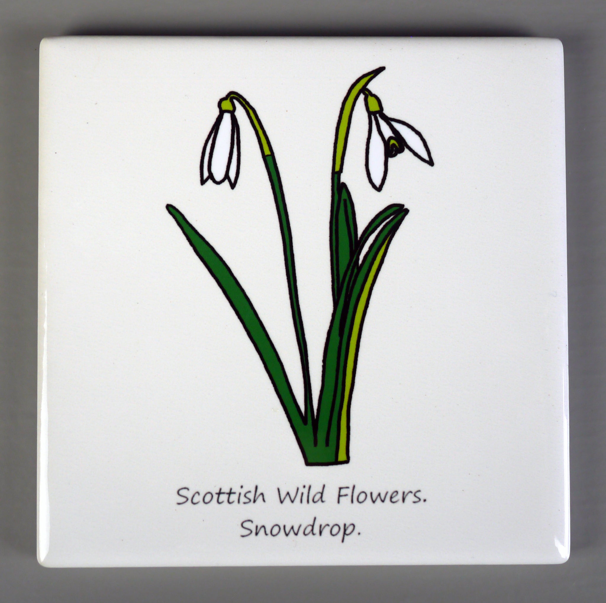 ***SALE*** Wild Flowers - Giclee Print in Rope Frame
