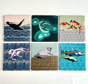 Set of 6 - Sea creatures Coasters